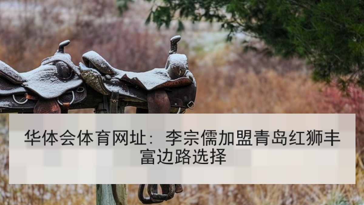 华体会体育网址: 李宗儒加盟青岛红狮丰富边路选择